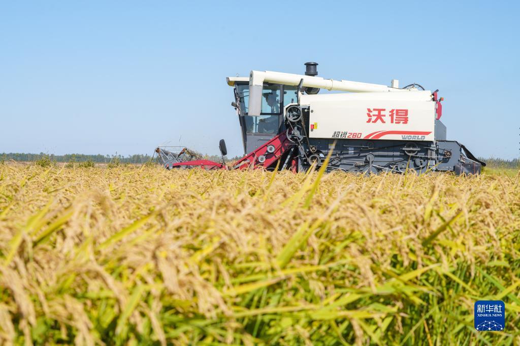 晨龙游戏官网下载